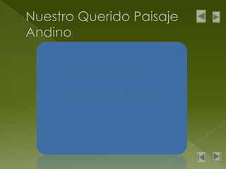 Nuestro Querido Paisaje Andino