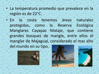 • La temperatura promedio que prevalece en la
región es de 22°C.
• En la costa tenemos áreas naturales
protegidas, como la Reserva Ecológica
Manglares Cayapas Mataje, que contiene
grandes bosques de mangle, entre ellos el
manglar de Majagual, considerado el mas alto
del mundo en su tipo.
 
