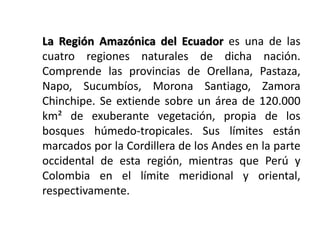 La Región Amazónica del Ecuador es una de las
cuatro regiones naturales de dicha nación.
Comprende las provincias de Orellana, Pastaza,
Napo, Sucumbíos, Morona Santiago, Zamora
Chinchipe. Se extiende sobre un área de 120.000
km² de exuberante vegetación, propia de los
bosques húmedo-tropicales. Sus límites están
marcados por la Cordillera de los Andes en la parte
occidental de esta región, mientras que Perú y
Colombia en el límite meridional y oriental,
respectivamente.
 