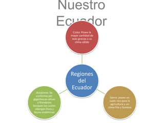 Nuestro
Ecuador
Regiones
del
Ecuador
Costa: Posee la
mayor cantidad de
aves gracias a su
clima cálido
Sierra: posee un
suelo rico para la
agricultura y un
clima frio y lluvioso
Amazonia: Se
conforma por
gigantescas selvas
y frondosos
bosques los cuales
albergan flora y
fauna endémicas
 