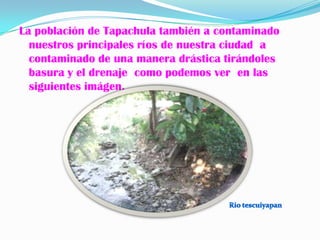 La población de Tapachula también a contaminado
  nuestros principales ríos de nuestra ciudad a
  contaminado de una manera drástica tirándoles
  basura y el drenaje como podemos ver en las
  siguientes imágen.
 