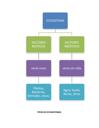 TIPOS DE ECOSISTEMAS:
ECOSISTEMA
FACTORES
BIOTICOS
seres vivos
Plantas,
Bacterias,
Animales, otros.
FACTORES
ABIOTICOS
seres sin vida
Agua, Suelo,
Rocas, otros
 