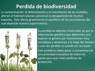 Perdida de biodiversidad
La contaminación, la deforestación y el crecimiento de las ciudades,
alteran el habitad natural y provocan la desaparición de muchas
especies. Esto afecta gravemente el equilibrio de los ecosistemas del
cual depende nuestra supervivencia.

                            La perdida es además irreversible ya que la
                            información genética que determina una
                            especie se genera por mecanismos muy
                            complejos y aleatorios a lo largo del tiempo
                            y una vez perdida no puede ser recreada.
                            Este problema debe pasar a convertirse en
                            una prioridad inmediata de todos los
                            países para que creen políticas de
                            protección.
 