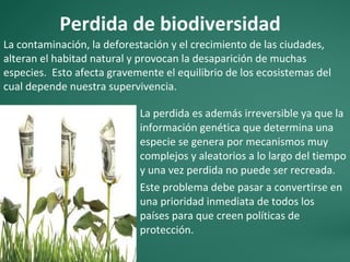 Perdida de biodiversidad
La perdida es además irreversible ya que la
información genética que determina una
especie se genera por mecanismos muy
complejos y aleatorios a lo largo del tiempo
y una vez perdida no puede ser recreada.
Este problema debe pasar a convertirse en
una prioridad inmediata de todos los
países para que creen políticas de
protección.
La contaminación, la deforestación y el crecimiento de las ciudades,
alteran el habitad natural y provocan la desaparición de muchas
especies. Esto afecta gravemente el equilibrio de los ecosistemas del
cual depende nuestra supervivencia.
 