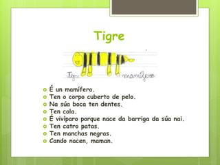 Tigre
 É un mamífero.
 Ten o corpo cuberto de pelo.
 Na súa boca ten dentes.
 Ten cola.
 É vivíparo porque nace da barriga da súa nai.
 Ten catro patas.
 Ten manchas negras.
 Cando nacen, maman.
 
