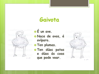 Gaivota
 É un ave.
 Nace de ovos, é
ovíparo.
 Ten plumas.
 Ten dúas patas
e dúas ás coas
que pode voar.
 