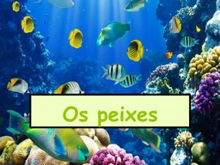 Os peixes
 