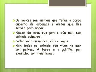  Os peixes son animais que teñen o corpo
cuberto de escamas e aletas que lles
serven para nadar.
 Nacen de ovos que pon a súa nai, son
animais ovíparos.
 Poden vivir en mares, ríos e lagos.
 Non todos os animais que viven no mar
son peixes. A balea e o golfiño, por
exemplo, son mamíferos.
 