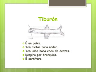 Tiburón
 É un peixe.
 Ten aletas para nadar.
 Ten unha boca chea de dentes.
 Respira por branquias.
 É carnívoro.
 