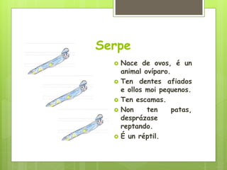 Serpe
 Nace de ovos, é un
animal ovíparo.
 Ten dentes afiados
e ollos moi pequenos.
 Ten escamas.
 Non ten patas,
desprázase
reptando.
 É un réptil.
 