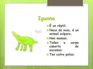 Iguana
 É un réptil.
 Nace de ovos, é un
animal ovíparo.
 Non maman.
 Teñen o corpo
cuberto de
escamas.
 Ten catro patas.
 