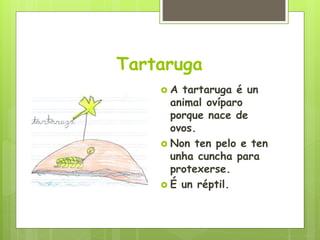 Tartaruga
 A tartaruga é un
animal ovíparo
porque nace de
ovos.
 Non ten pelo e ten
unha cuncha para
protexerse.
 É un réptil.
 