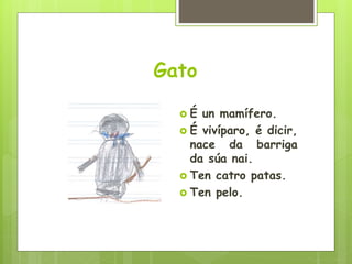 Gato
 É un mamífero.
 É vivíparo, é dicir,
nace da barriga
da súa nai.
 Ten catro patas.
 Ten pelo.
 