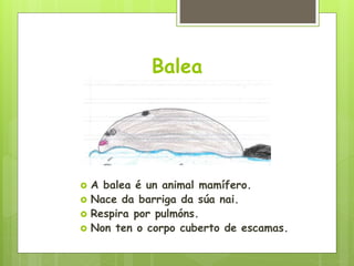 Balea
 A balea é un animal mamífero.
 Nace da barriga da súa nai.
 Respira por pulmóns.
 Non ten o corpo cuberto de escamas.
 