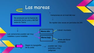 Las mareas 
Se producen por la fuerza de 
atracción de la Luna y del Sol 
sobre la Tierra 
Variaciones en el nivel del mar 
Se repiten dos veces en períodos de 24h 
Las variaciones pueden ser muy 
notables o poco notables 
Marea alta 
Marea baja 
Litoral inundado 
Parte del litoral 
emergido 
Según la topografía 
de la costa 
pueden ser: muy 
potentes y muy 
peligrosa 
 
