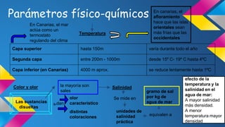 Parámetros físico-químicos 
Temperatura 
Capa superior hasta 150m varía durante todo el año 
Segunda capa entre 200m - 1000m desde 15º C- 19º C hasta 4ºC 
Capa inferior (en Canarias) 4000 m aprox. se reduce lentamente hasta 1ºC 
Color y olor 
Las sustancias 
disueltas 
dan 
olor 
característico 
distintas 
coloraciones 
En canarias, el 
afloramiento 
hace que las islas 
orientales sean 
más frías que las 
occidentales 
En Canarias, el mar 
actúa como un 
termostato 
regulando del clima 
la mayoría son 
sales 
Salinidad 
Se mide en 
unidades de 
salinidad 
práctica 
gramo de sal 
por kg de 
agua de mar 
equivalen a 
efecto de la 
temperatura y la 
salinidad en el 
agua de mar: 
A mayor salinidad 
más densidad. 
A menor 
temperatura mayor 
densidad 
 