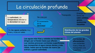 La circulación profunda 
Se crea por 
El incremento 
en la 
densidad 
La salinidad y la 
temperatura afectan a 
la densidad del agua 
De las aguas polares muy 
frías y ricas en sales 
Transporta 
Energía en 
forma de 
calor,sólidos, 
gases, 
sustancias 
disueltas 
Distribución de los grandes 
climas del planeta 
Las aguas más frías y saladas se hunden se 
dirigen por el fondo hasta que afloran. 
Los vientos provocan corrientes superficiales 
que transportan el agua menos densa y más 
cálida, hasta que se hundan de nuevo (se 
enfrían y ganan salinidad) 
 