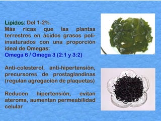 Lípidos :  Del 1-2%.  Más ricas que las plantas terrestres en ácidos grasos poli-insaturados  con una proporción ideal de Omegas: Omega 6 / Omega 3 (2:1 y 3:2)  Anti-colesterol, anti-hipertensión, precursores de prostaglandinas (regulan agregación de plaquetas) Reducen hipertensión, evitan ateroma, aumentan permeabilidad celular  