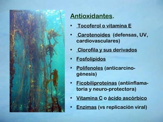 Antioxidantes .  Tocoferol o vitamina E   Carotenoides   (defensas, UV, cardiovasculares)  Clorofila y sus derivados   Fosfolípidos   Polifenoles  (anticarcino-génesis)  Ficobiliproteínas  (antiinflama-toria y neuro-protectora)  Vitamina C  o  ácido ascórbico   Enzimas  (vs replicación viral) 
