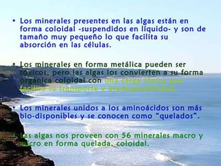Los minerales presentes en las algas están en forma coloidal -suspendidos en líquido- y son de tamaño muy pequeño lo que facilita su absorción en las células.  Los minerales en forma metálica pueden ser tóxicos, pero las algas los convierten a su forma orgánica coloidal con  una carga iónica   que facilita su transporte y   biodisponibilidad.   Los minerales unidos a los aminoácidos son más bio-disponibles y se conocen como “quelados”.  Las algas nos proveen con 56 minerales macro y micro en forma quelada, coloidal.  