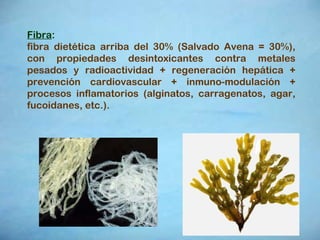 Fibra :  fibra dietética arriba del 30% (Salvado Avena = 30%), con propiedades desintoxicantes contra metales pesados y radioactividad + regeneración hepática + prevención cardiovascular + inmuno-modulación + procesos inflamatorios (alginatos, carragenatos, agar, fucoidanes, etc.). 