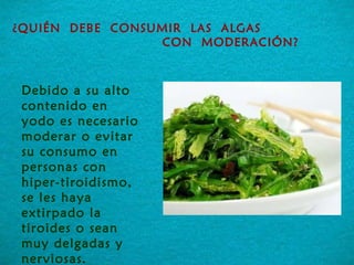 Debido a su alto contenido en yodo es necesario moderar o evitar su consumo en personas con  hiper-tiroidismo, se les haya extirpado la tiroides o sean muy delgadas y nerviosas.  ¿QUIÉN  DEBE  CONSUMIR  LAS  ALGAS  CON  MODERACIÓN? 