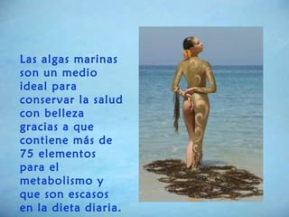 Las algas marinas son un medio ideal para conservar la salud con belleza gracias a que contiene más de 75 elementos para el  metabolismo y que son escasos en la dieta diaria. 