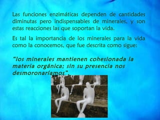 Las funciones enzimáticas dependen de cantidades diminutas pero indispensables de minerales, y son estas reacciones las que soportan la vida.   Es tal la importancia de los minerales para la vida como la conocemos, que fue descrita como sigue:   “ los minerales mantienen cohesionada la materia orgánica; sin su presencia nos desmoronaríamos”. 