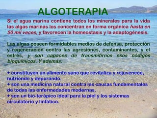 ALGOTERAPIA Si el agua marina contiene todos los minerales para la vida las algas marinas los concentran en forma orgánica  hasta en 50 mil veces , y favorecen la homeostasis y la adaptogénesis.  Las algas poseen formidables medios de defensa, protección y regeneración contra las agresiones, contaminantes, y el estrés,  y son capaces de transmitirnos esos códigos bioquímicos. Y además: + constituyen un alimento sano que revitaliza y rejuvenece, nutriendo y depurando. + son una medicina natural contra las causas fundamentales de todas las enfermedades modernas.  + son un bio-terápico ideal para la piel y los sistemas circulatorio y linfático. 