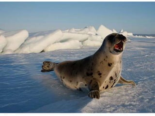Nuestro medio ambiente [reparado]