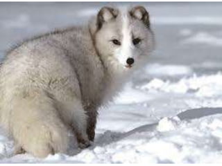Nuestro medio ambiente [reparado]