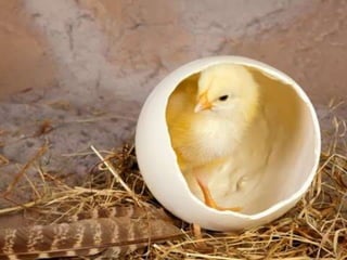 Nuestro medio ambiente [reparado]