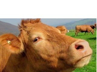 Nuestro medio ambiente [reparado]