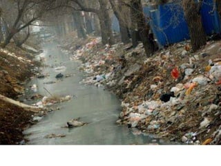 Nuestro medio ambiente [reparado]