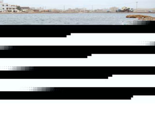 Nuestro medio ambiente [reparado]