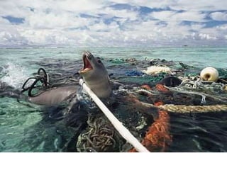 Nuestro medio ambiente [reparado]