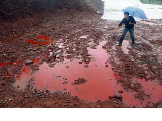 Nuestro medio ambiente [reparado]