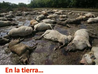 Nuestro medio ambiente [reparado]