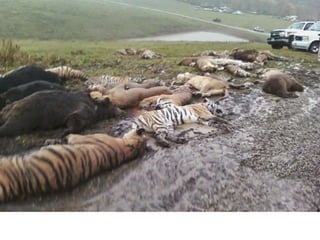 Nuestro medio ambiente [reparado]