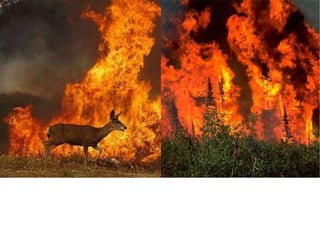 Nuestro medio ambiente [reparado]