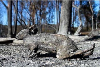 Nuestro medio ambiente [reparado]