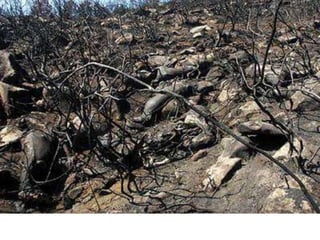 Nuestro medio ambiente [reparado]