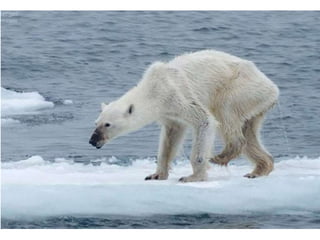 Nuestro medio ambiente [reparado]