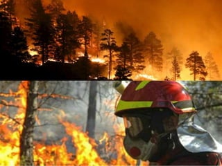 Nuestro medio ambiente [reparado]