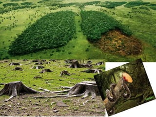 Nuestro medio ambiente [reparado]