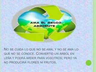 NO SE CUIDA LO QUE NO SE AMA, Y NO SE AMA LO
QUE NO SE CONOCE. CONVERTID UN ÁRBOL EN
LEÑA Y PODRÁ ARDER PARA VOSOTROS; PERO YA
NO PRODUCIRÁ FLORES NI FRUTOS.

 