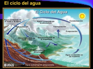 El ciclo del agua
 