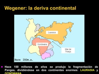 Wegener: la deriva continental




 Hace  150 millones de años se produjo la fragmentación de
  Pangea, dividiéndose en dos continentes enormes: LAURASIA y
 