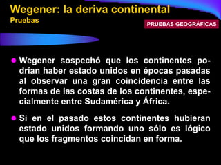 Wegener: la deriva continental
Pruebas                         PRUEBAS GEOGRÁFICAS




 Wegener sospechó que los continentes po-
  drían haber estado unidos en épocas pasadas
  al observar una gran coincidencia entre las
  formas de las costas de los continentes, espe-
  cialmente entre Sudamérica y África.
 Si en el pasado estos continentes hubieran
  estado unidos formando uno sólo es lógico
  que los fragmentos coincidan en forma.
 