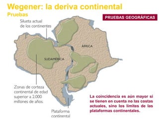 Wegener: la deriva continental
Pruebas                     PRUEBAS GEOGRÁFICAS




                     La coincidencia es aún mayor si
                     se tienen en cuenta no las costas
                     actuales, sino los límites de las
                     plataformas continentales.
 